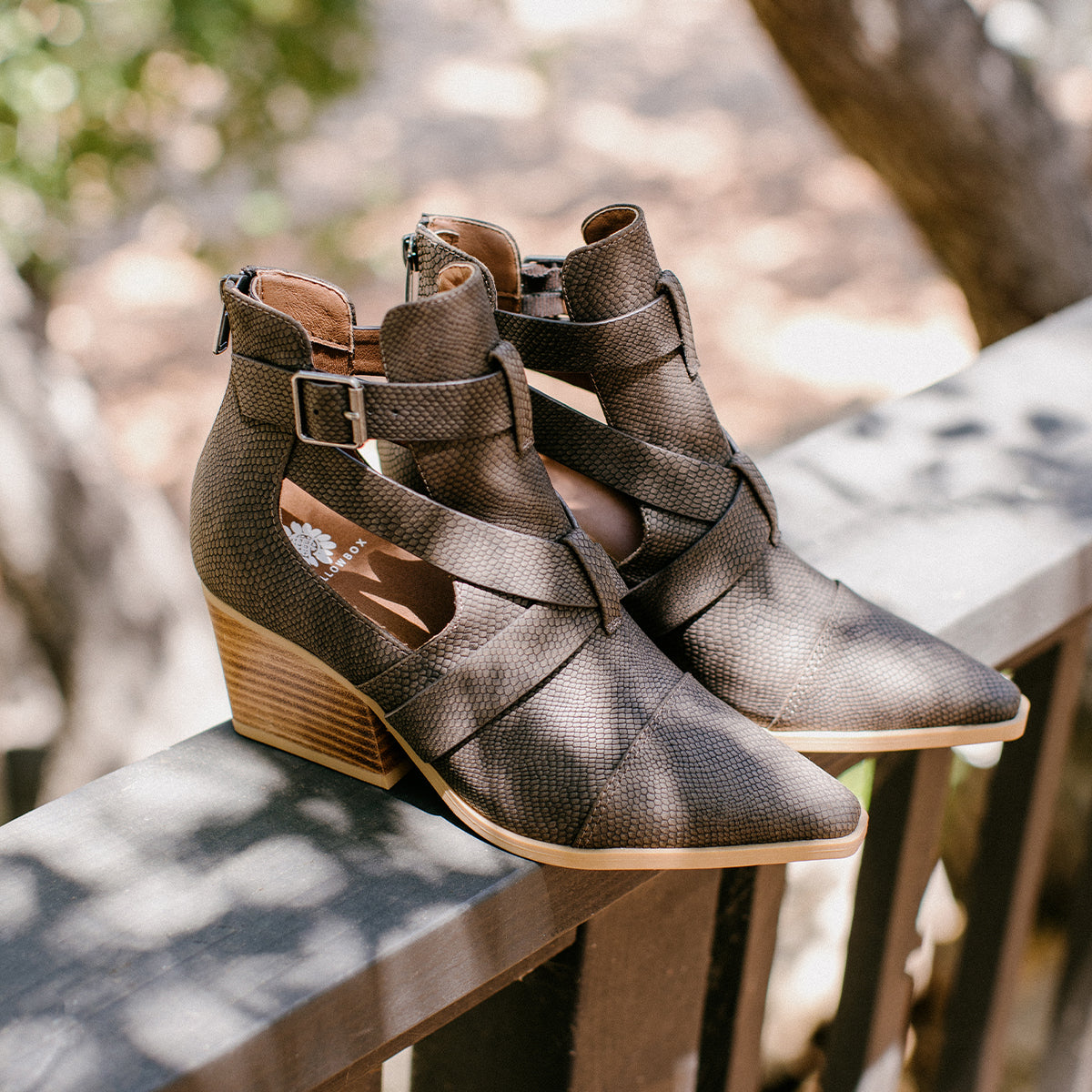 Canoly Cut-out Bootie - Image 6